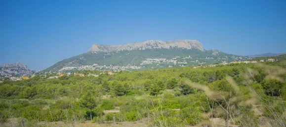 Земельный участок в Кальпе, Испания № 94651 8