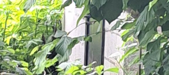 Casa de 8 divisões em Bistagno, Italy N.º 175049 9