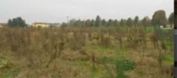 Gewerbliche Immobilie in Villadose, Italy 840m², Nr. 206950 6