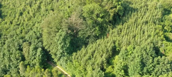 22غرفة فندق في Olpe, Germany رقم 183334 6