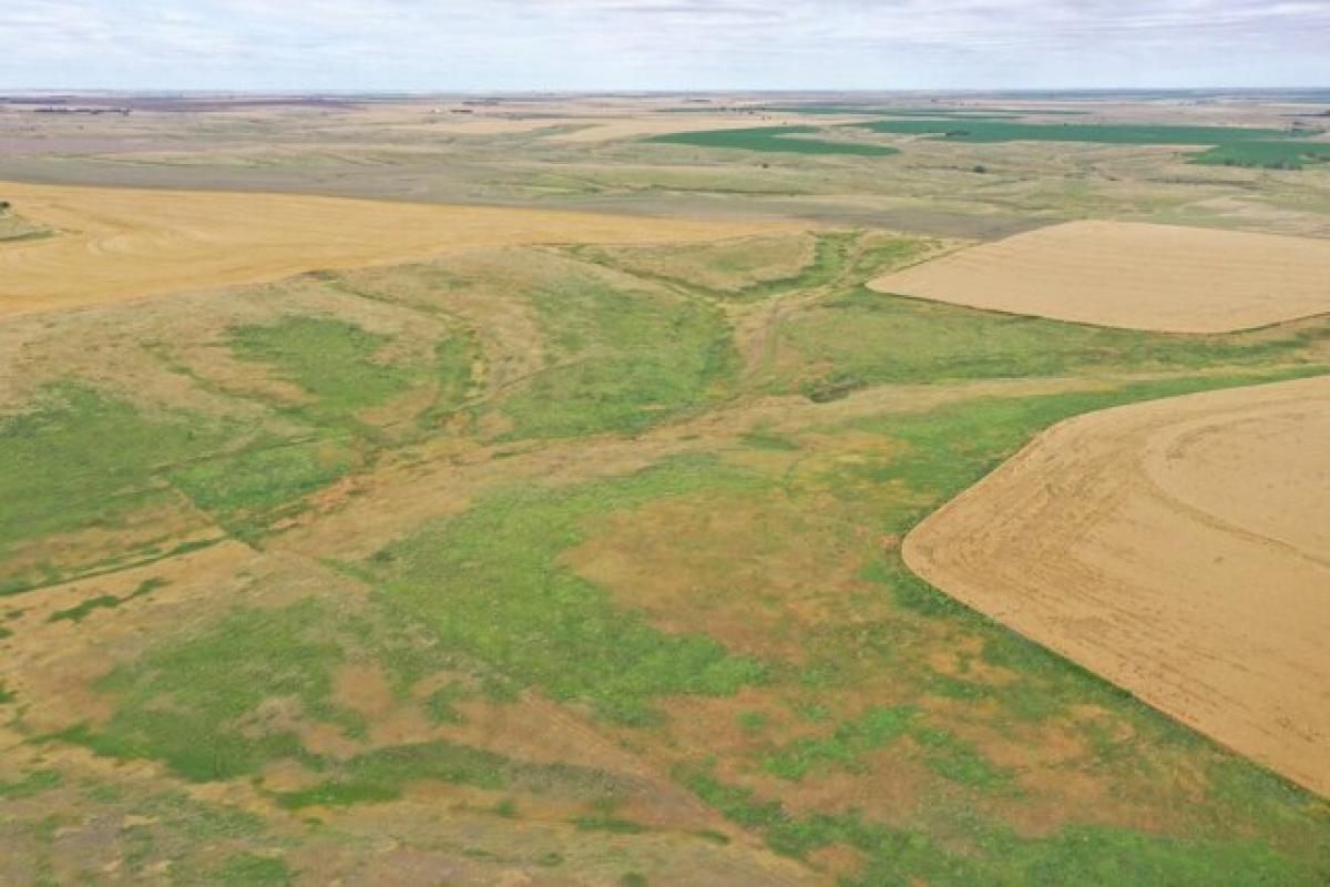  Land in Ludell, USA No. 550396