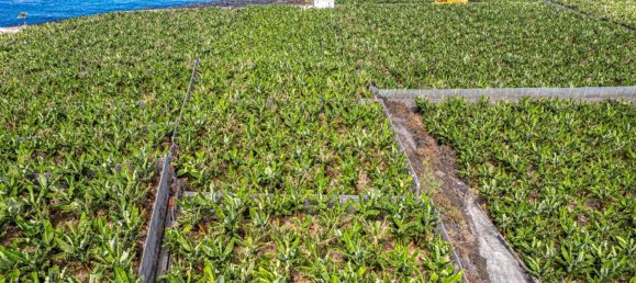 2 غرف نوم منزل في La Palma, Spain رقم 159806 35