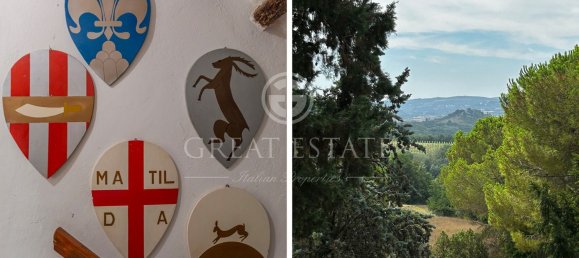 46 rooms House in Castelfiorentino, Italy No. 237566 43