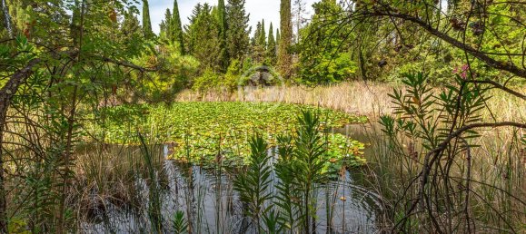 46 rooms House in Castelfiorentino, Italy No. 237566 27