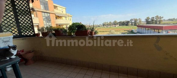 1 bedroom Apartment in Latina, Italy No. 221081 8