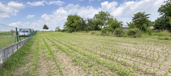Terrain à Zemendorf-Stottera, Austria No. 126598 2