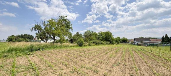 Terrain à Zemendorf-Stottera, Austria No. 126598 5