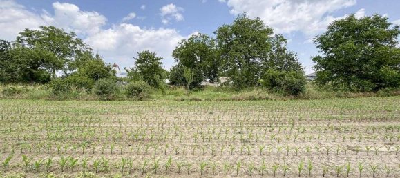 Terrain à Zemendorf-Stottera, Austria No. 126598 3
