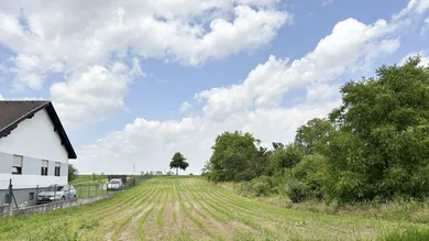 Terrain à Zemendorf-Stottera, Austria No. 126598