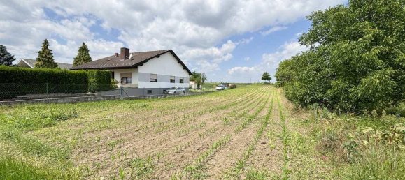 Terrain à Zemendorf-Stottera, Austria No. 126598 7