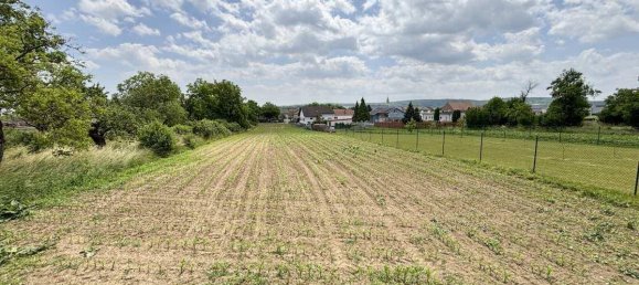 Terrain à Zemendorf-Stottera, Austria No. 126598 6