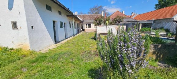 6 rooms House in Grossharras, Austria No. 250012 15