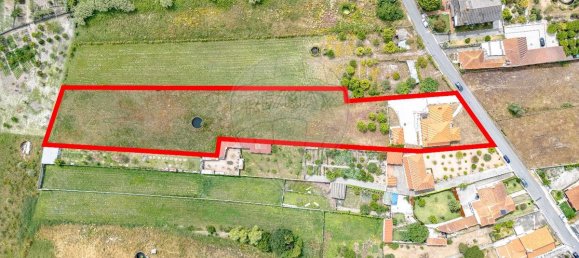 4 غرف نوم منزل في Febres, Portugal رقم 160441 49