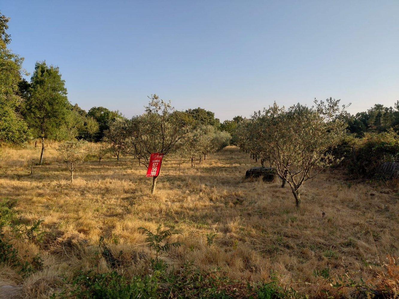  Land in Aguiar da Beira, Portugal No. 355957