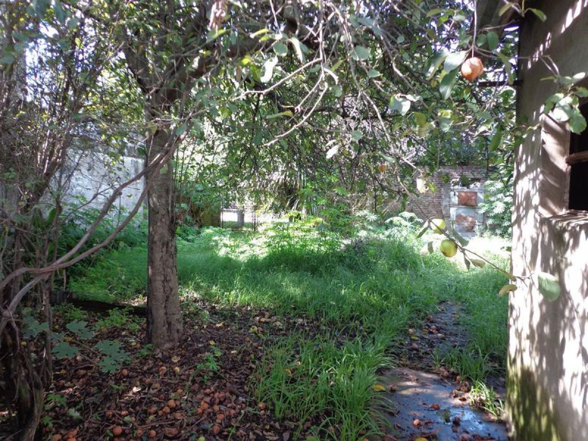 Terreno em Mar del Plata, Argentina N.º 115641