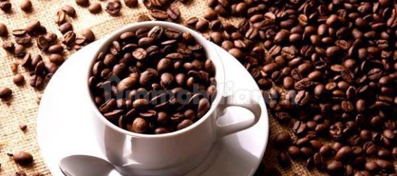 3غرفة عقار تجاري في Lucca, Italy رقم 25668 7