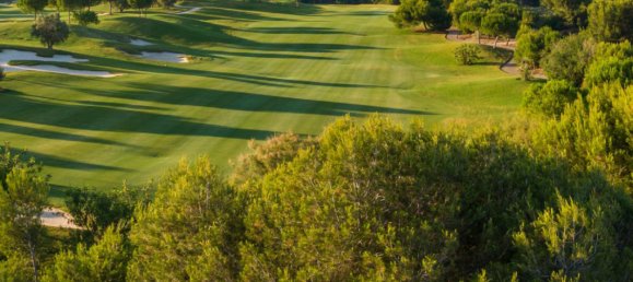 Вилла с 3 спальнями в Ориуэла, Испания № 485 9