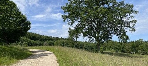 4 Schlafzimmer Haus in Ligsdorf, France, Nr. 261655 48