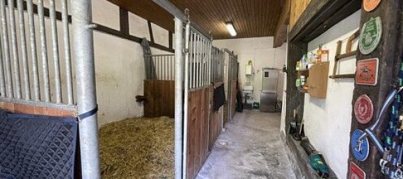 4 Schlafzimmer Haus in Ligsdorf, France, Nr. 261655 20