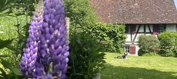 4 Schlafzimmer Haus in Ligsdorf, France, Nr. 261655 15