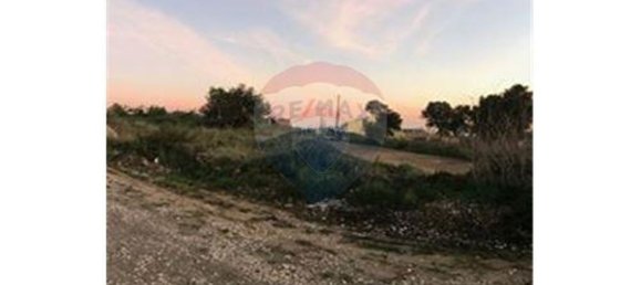 10120m² Land in Cascais, Portugal No. 76524 4