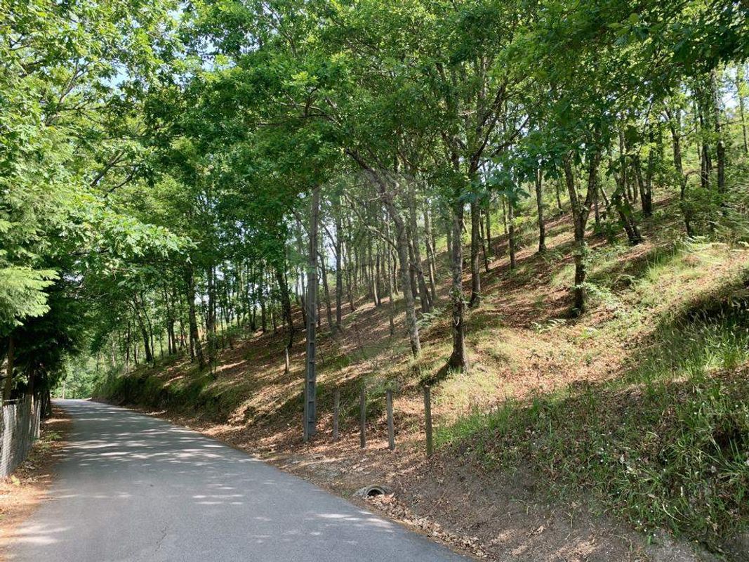  قطعة أرض في Arcos de Valdevez, Portugal 5814متر مربع رقم 57056