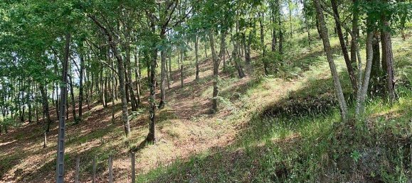 قطعة أرض في Arcos de Valdevez, Portugal 5814متر مربع رقم 57056 3