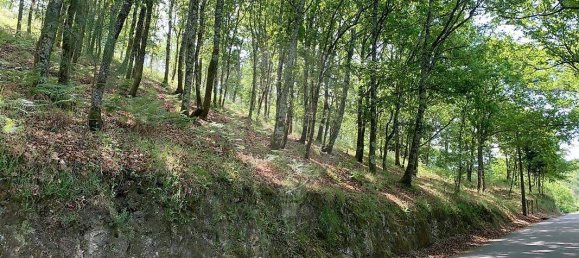 قطعة أرض في Arcos de Valdevez, Portugal 5814متر مربع رقم 57056 4