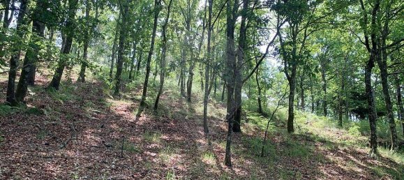 قطعة أرض في Arcos de Valdevez, Portugal 5814متر مربع رقم 57056 2