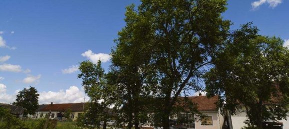 4 rooms House in Konigsdorf, Austria No. 11648 7