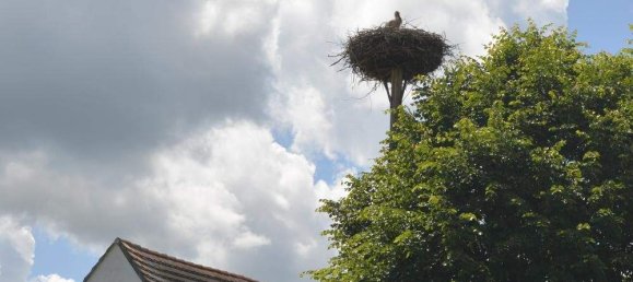 4 rooms House in Konigsdorf, Austria No. 11648 39