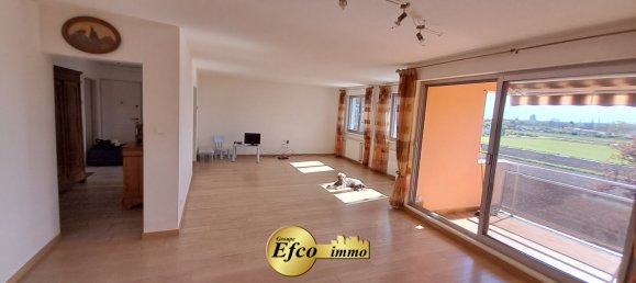 3 bedrooms Apartment in Pfastatt, France No. 91820 3