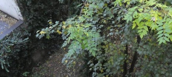 Квартира с 2 комнатами в Фафоритен, Австрия № 245473 14