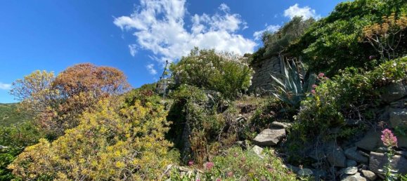 6 rooms House in La Spezia, Italy No. 148607 9