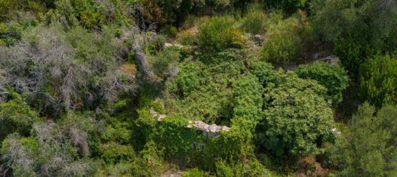 6 rooms House in La Spezia, Italy No. 148607 15