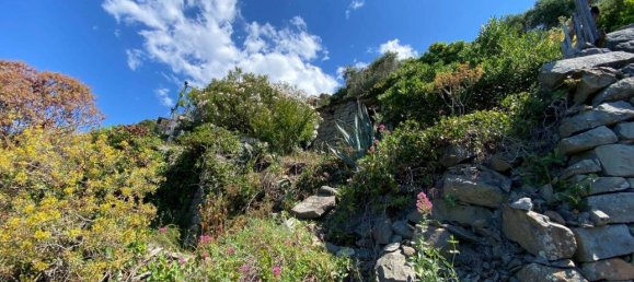 6 rooms House in La Spezia, Italy No. 148607 8