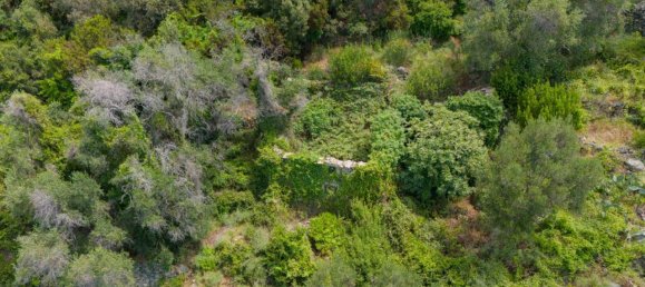 6 rooms House in La Spezia, Italy No. 148607 14