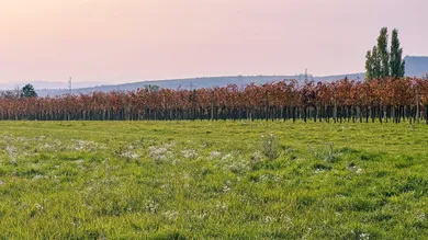 Terreno em Vienna, Austria N.º 163241