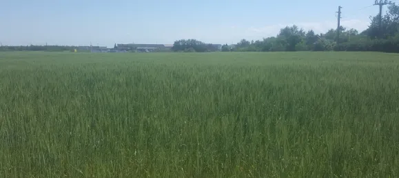 Terreno en Hagenbrunn, Austria 10433 m² No. 239304 7