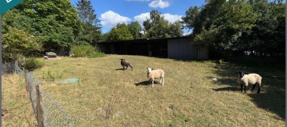 4 Schlafzimmer Haus in Meuse, France, Nr. 306225 9