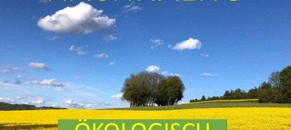 Земельный участок в Майн-Кинциг, Германия № 159743 2