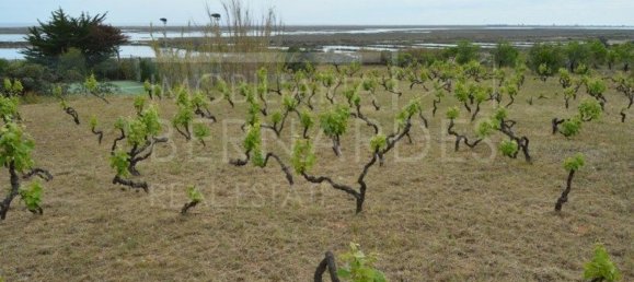 2 bedrooms House in Olhao, Portugal No. 128645 15