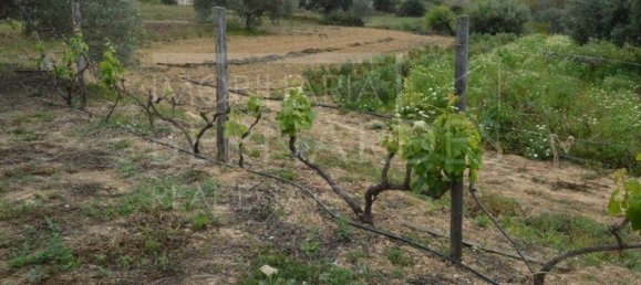 2 bedrooms House in Olhao, Portugal No. 128645 19