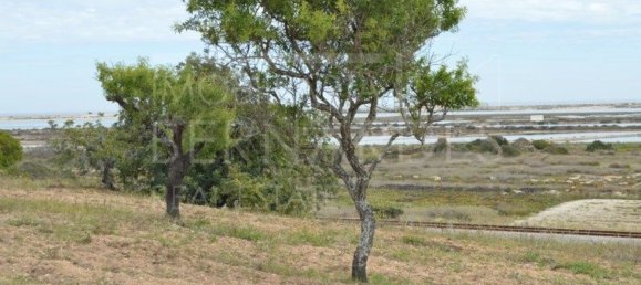 2 bedrooms House in Olhao, Portugal No. 128645 3