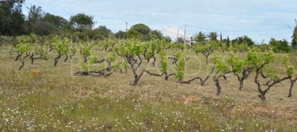 2 bedrooms House in Olhao, Portugal No. 128645 22