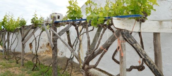 2 bedrooms House in Olhao, Portugal No. 128645 14