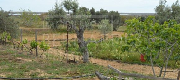 2 bedrooms House in Olhao, Portugal No. 128645 11