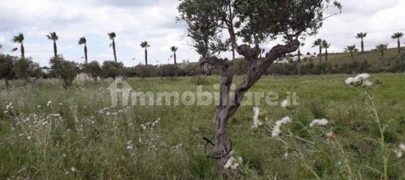 2 bedrooms House in Castelvetrano, Italy No. 84732 8