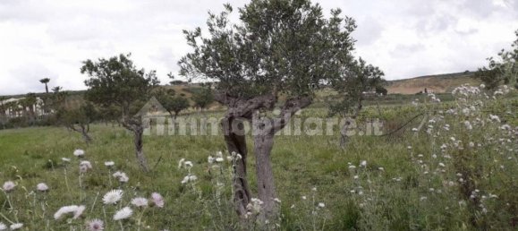 2 bedrooms House in Castelvetrano, Italy No. 84732 7