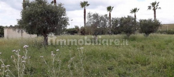 2 bedrooms House in Castelvetrano, Italy No. 84732 10